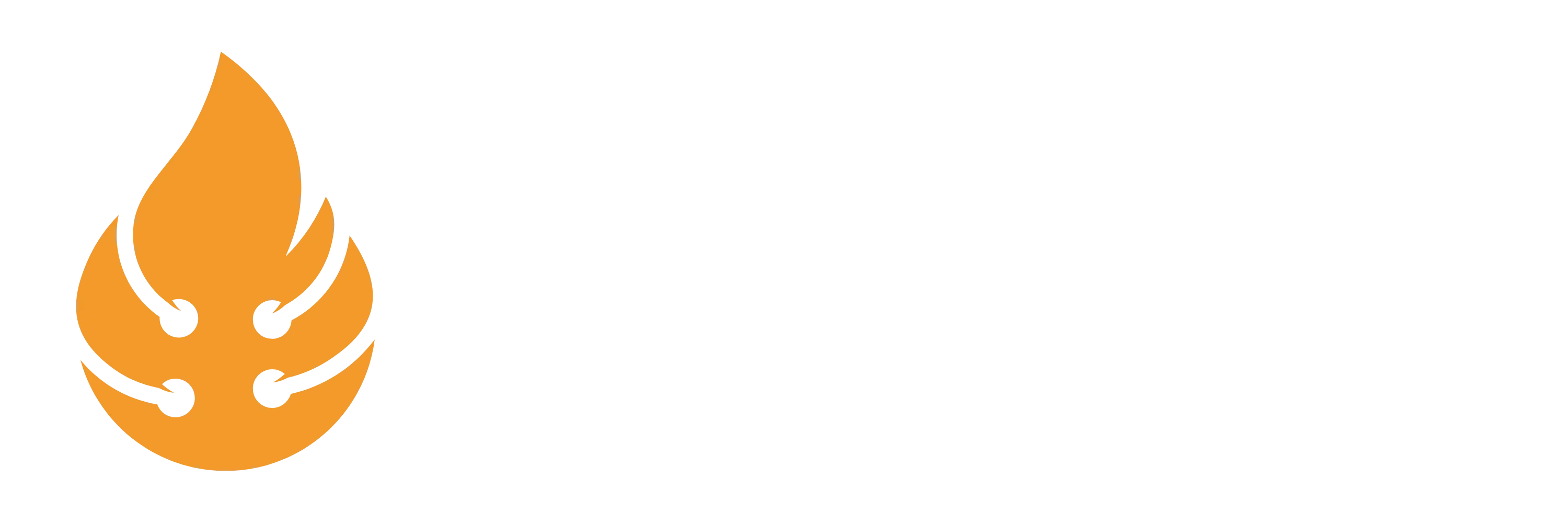 Digital Weberz Logo
