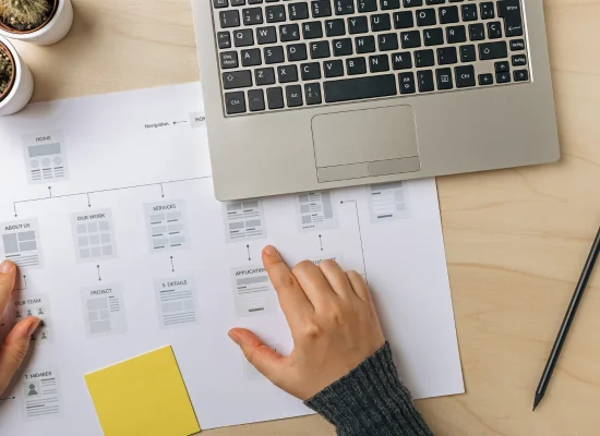 Professional Website Service